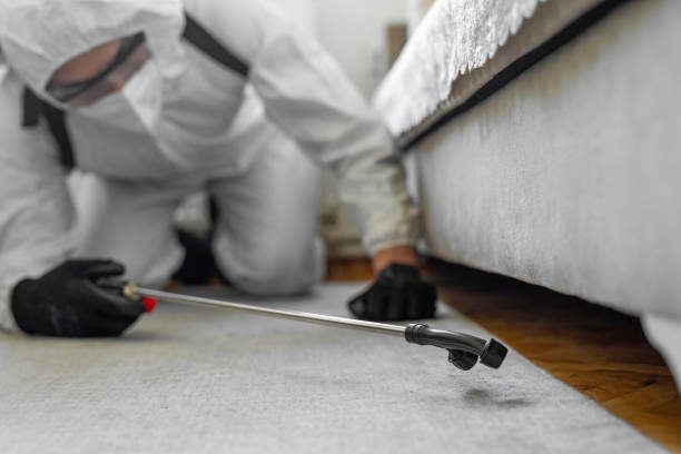 Professional Bed Bug Control technician working in Herlong, CA