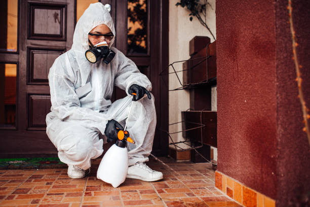 Reliable Bed Bug Control contractor in Herlong, CA by Nex Pest Control